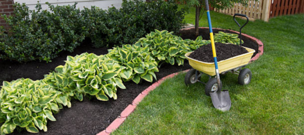 Jardin en cours d'entretien