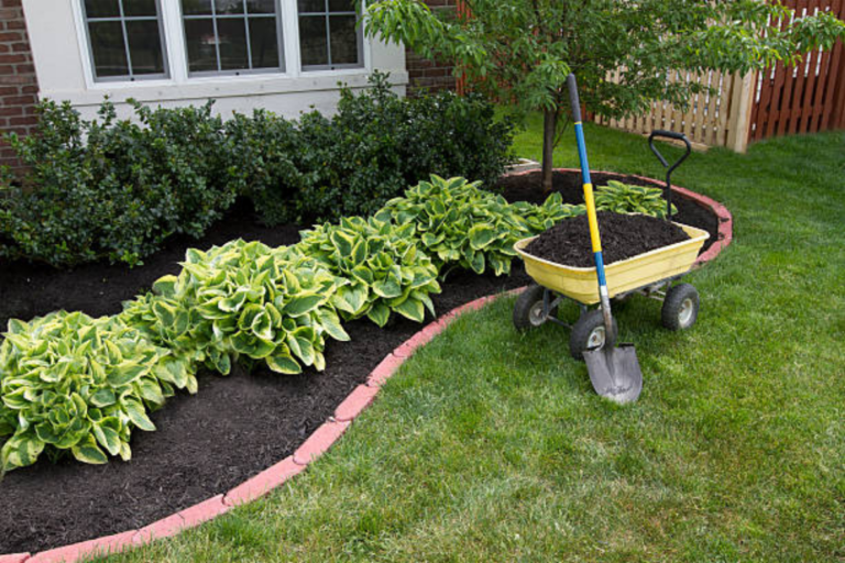 Jardin en cours d'entretien