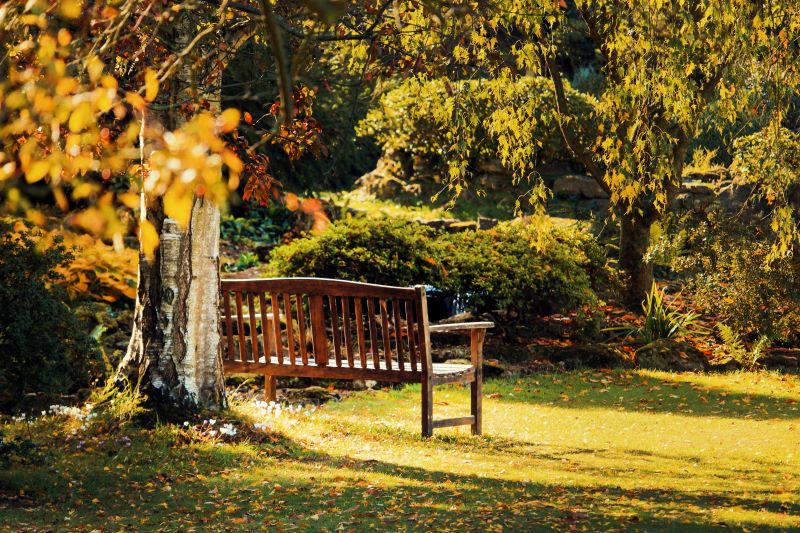 Un banc en bois dans un jardin ensoleillé entouré d'arbres et d'arbustes, avec des rayons de soleil tachetés sur l'herbe, invite à la réflexion pendant que vous contemplez la préparation du jardin pour l'hiver.